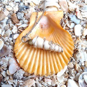 One of a Kind Wire Wrapped Natural Shell Necklace